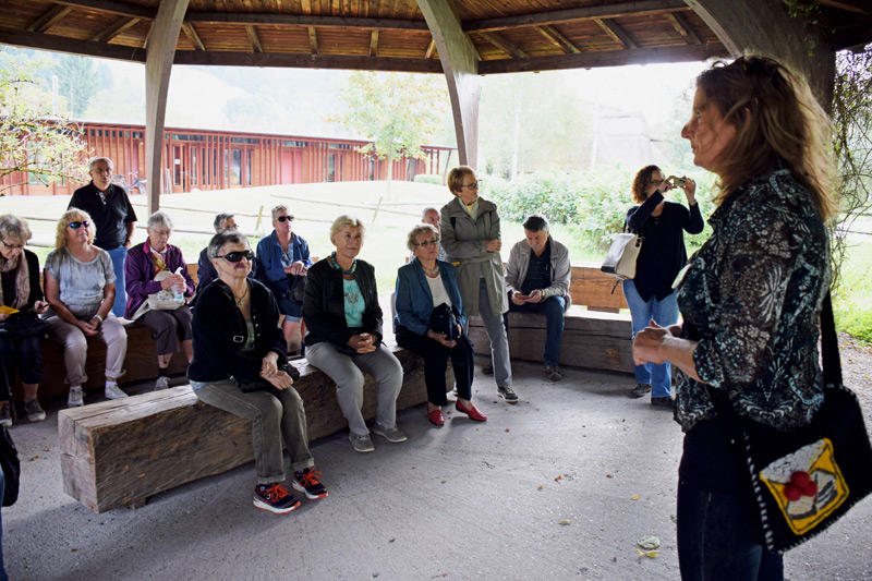 Erkl�rung der Vogtsbauernh�fe