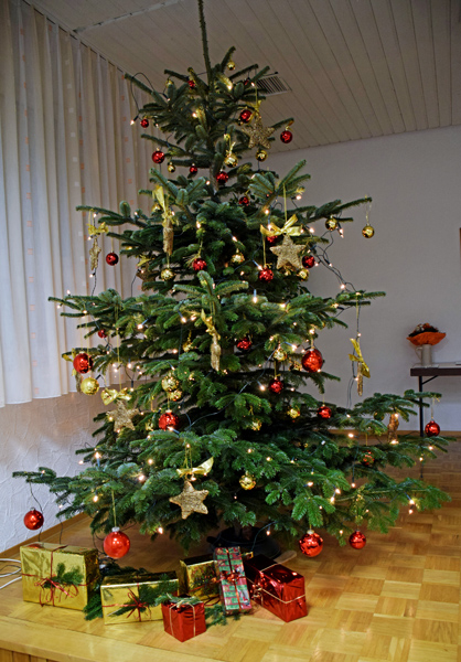 Der Weihnachtsbaum